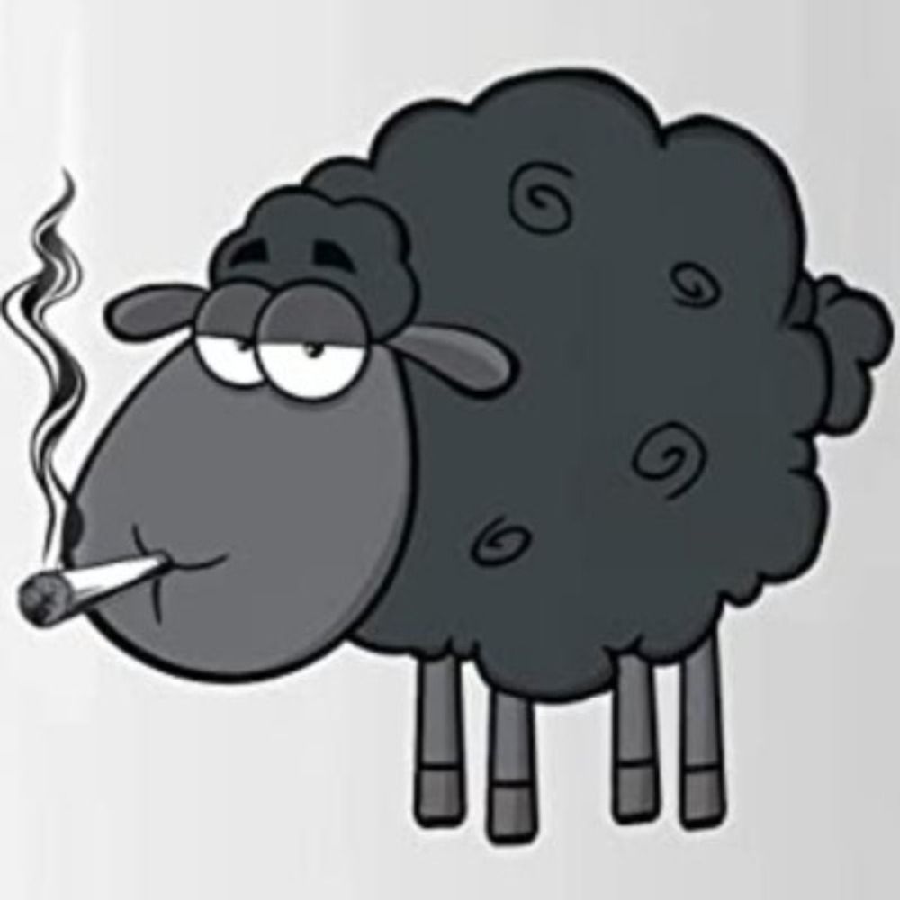 Black Sheep 