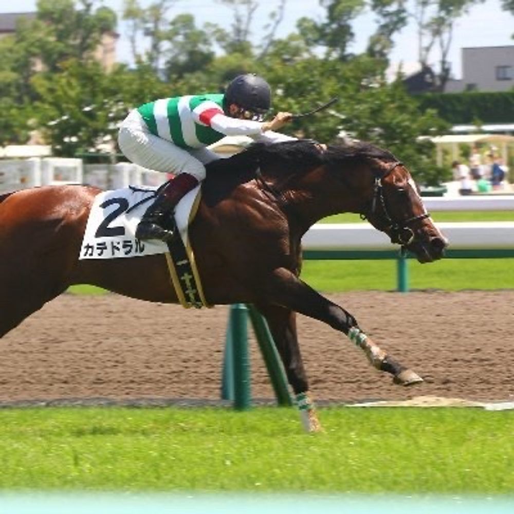芯力🐴️競馬評論サークル