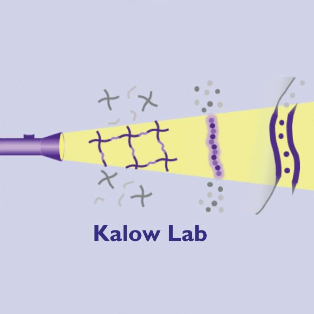 Kalow Lab