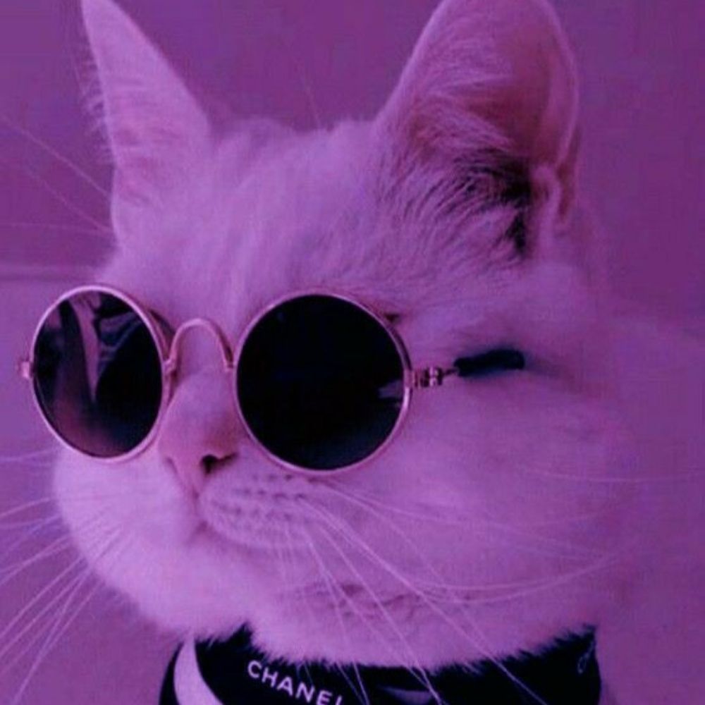 Kimi⁷