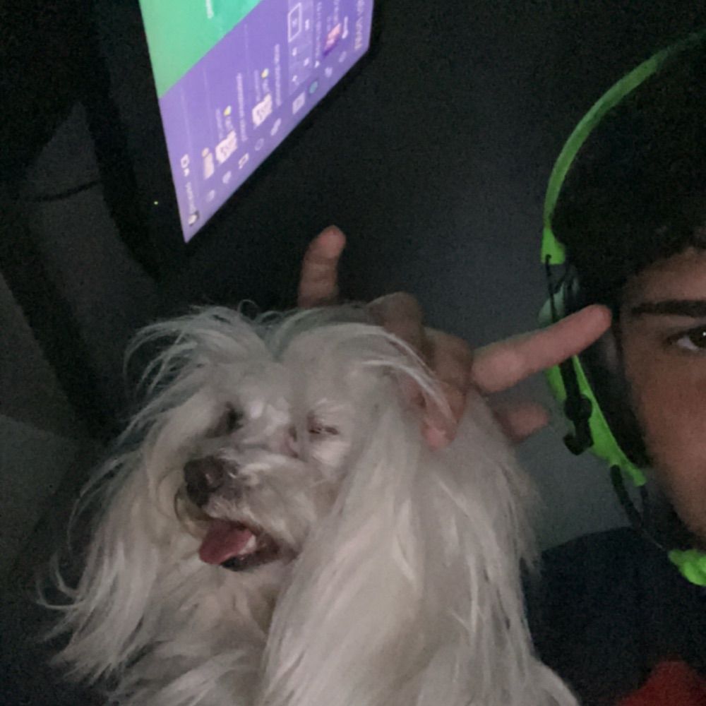 Dav!? 😬