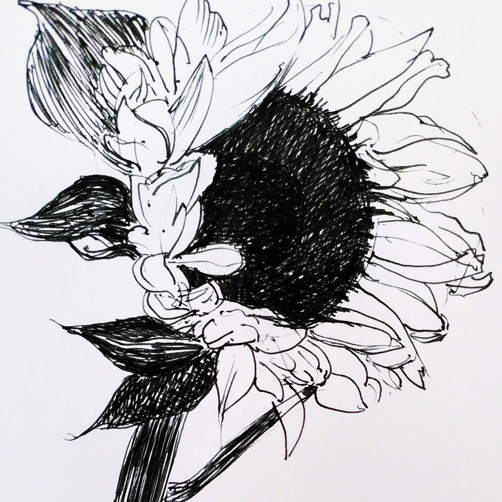 claire grover