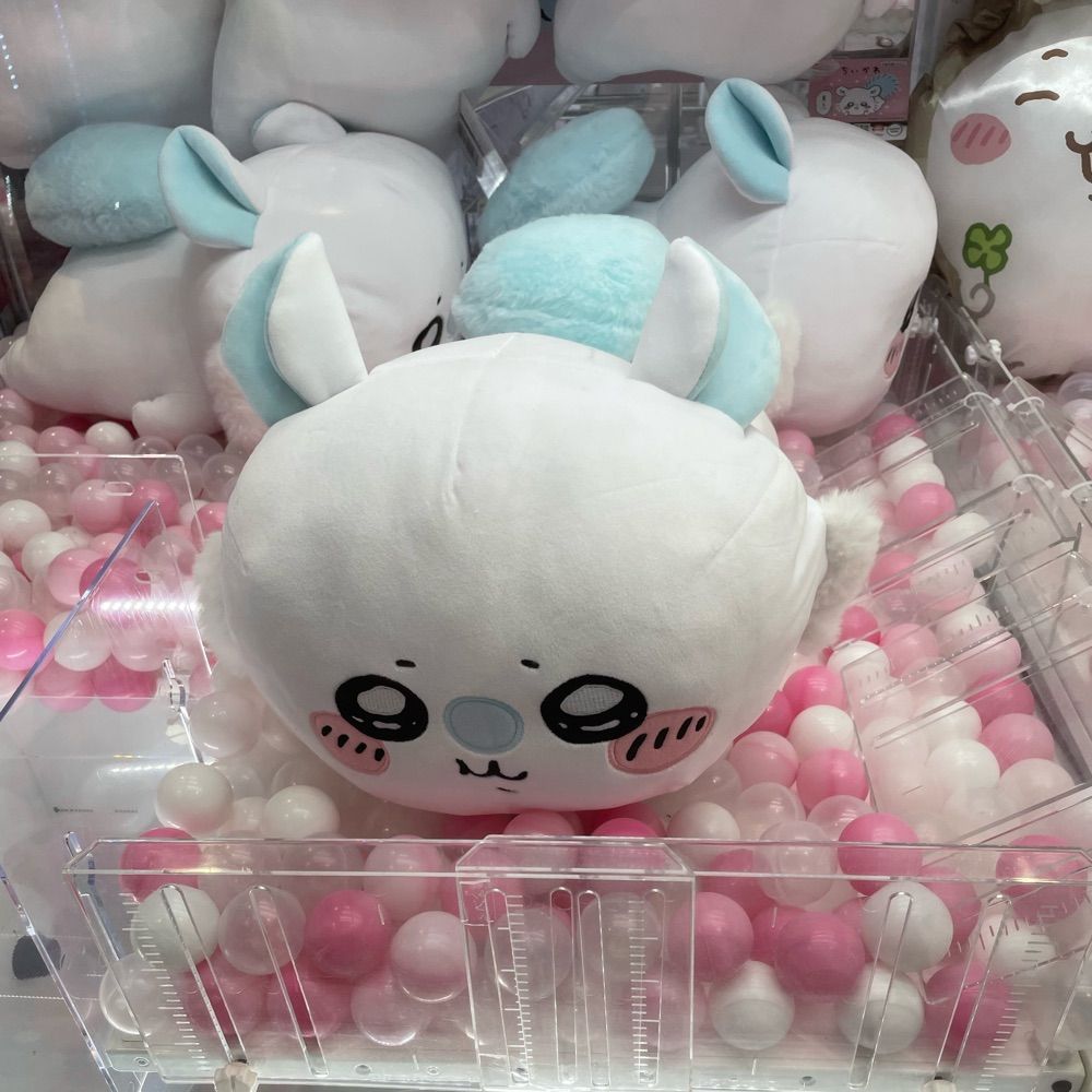 せんじゅ