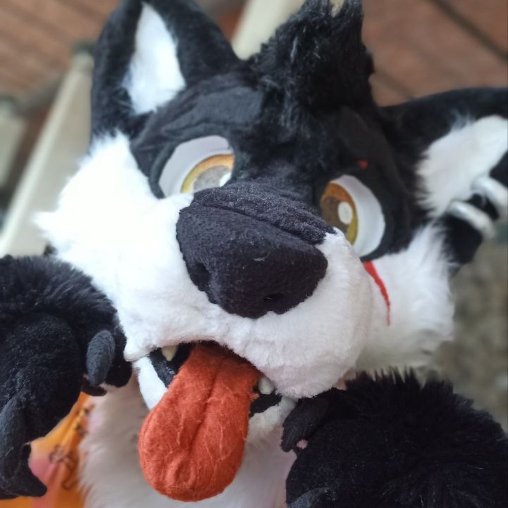 Raig AvengerWolf