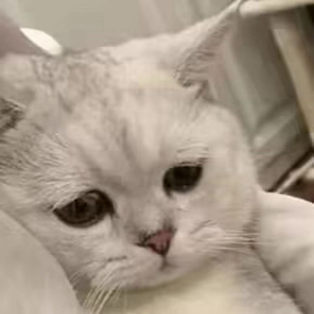 ゴミ