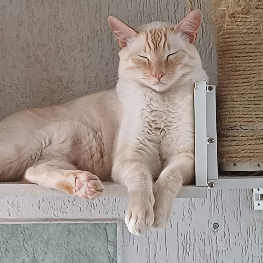 Bruno só que falamos dele