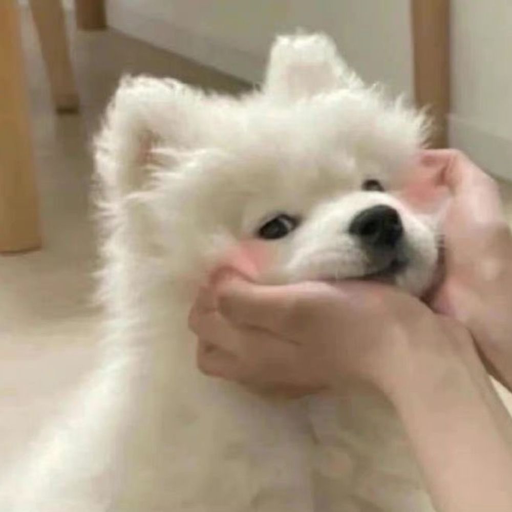 ม้าครึนที่จริงใจ