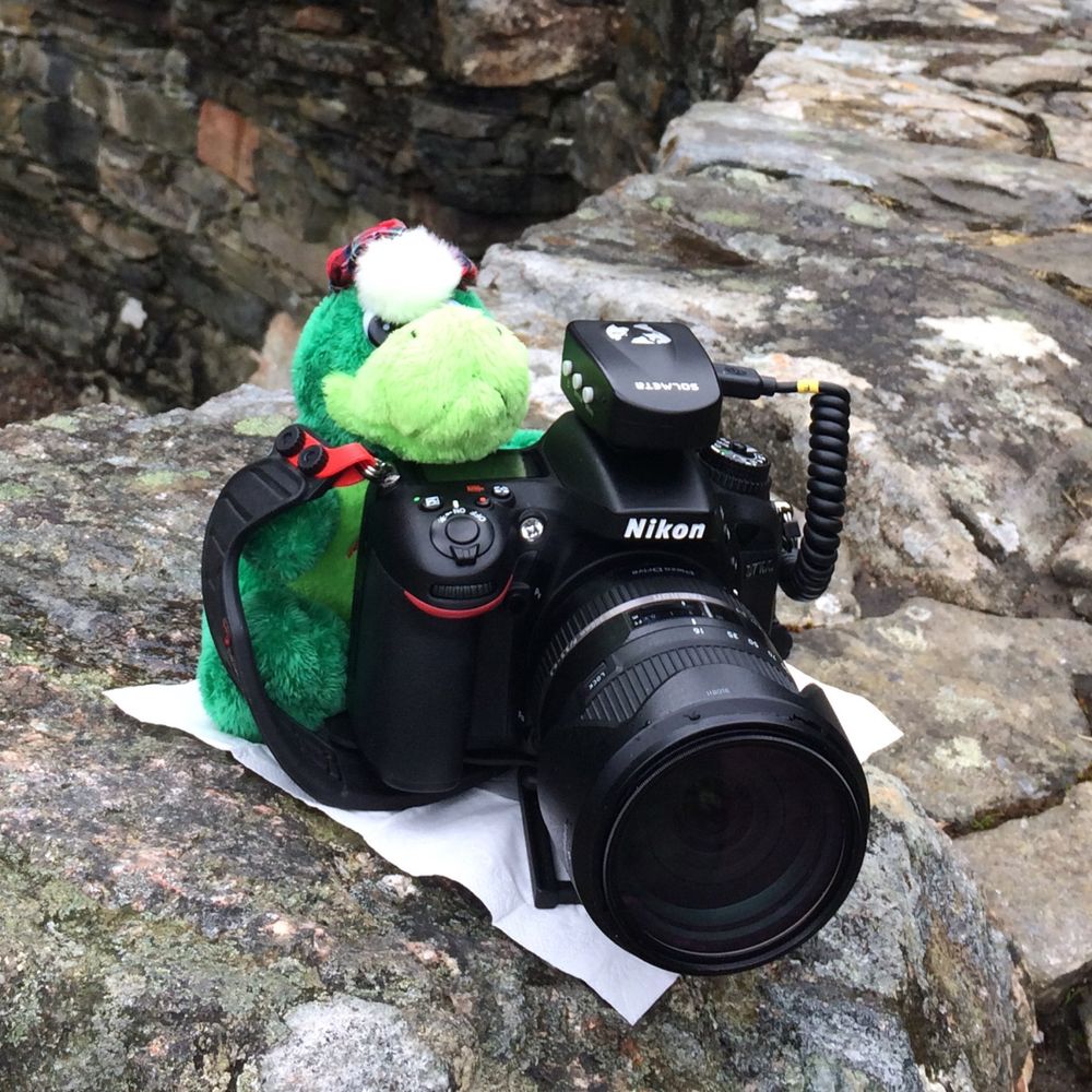 Reisemonster Nessie