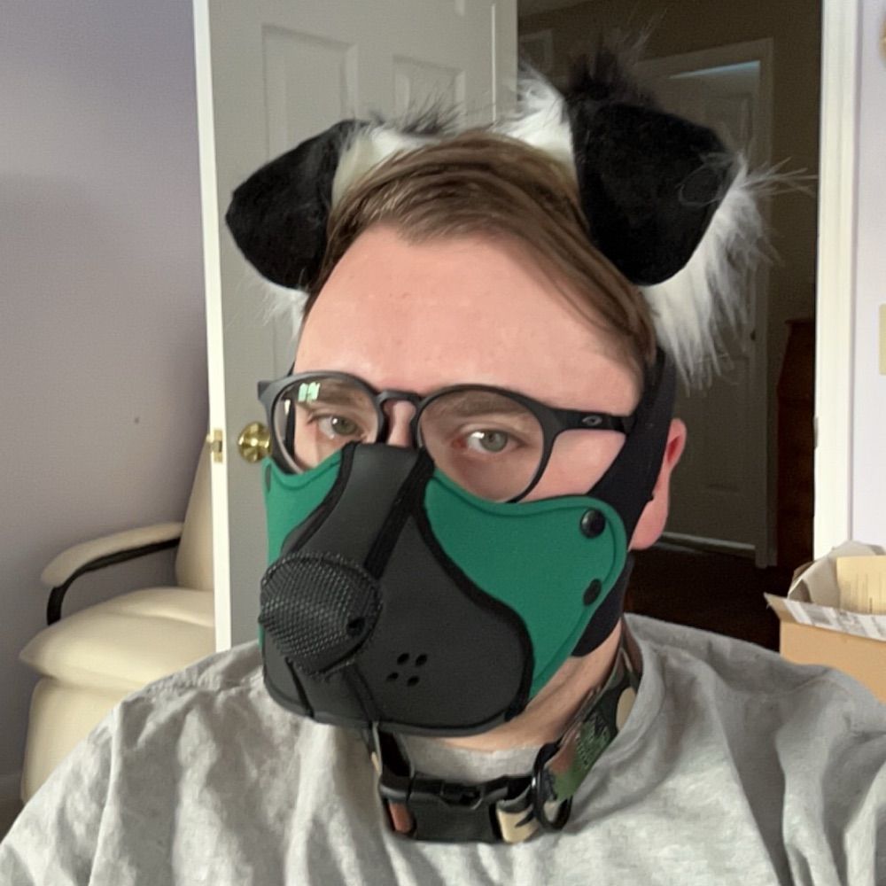 Pup Roscoe