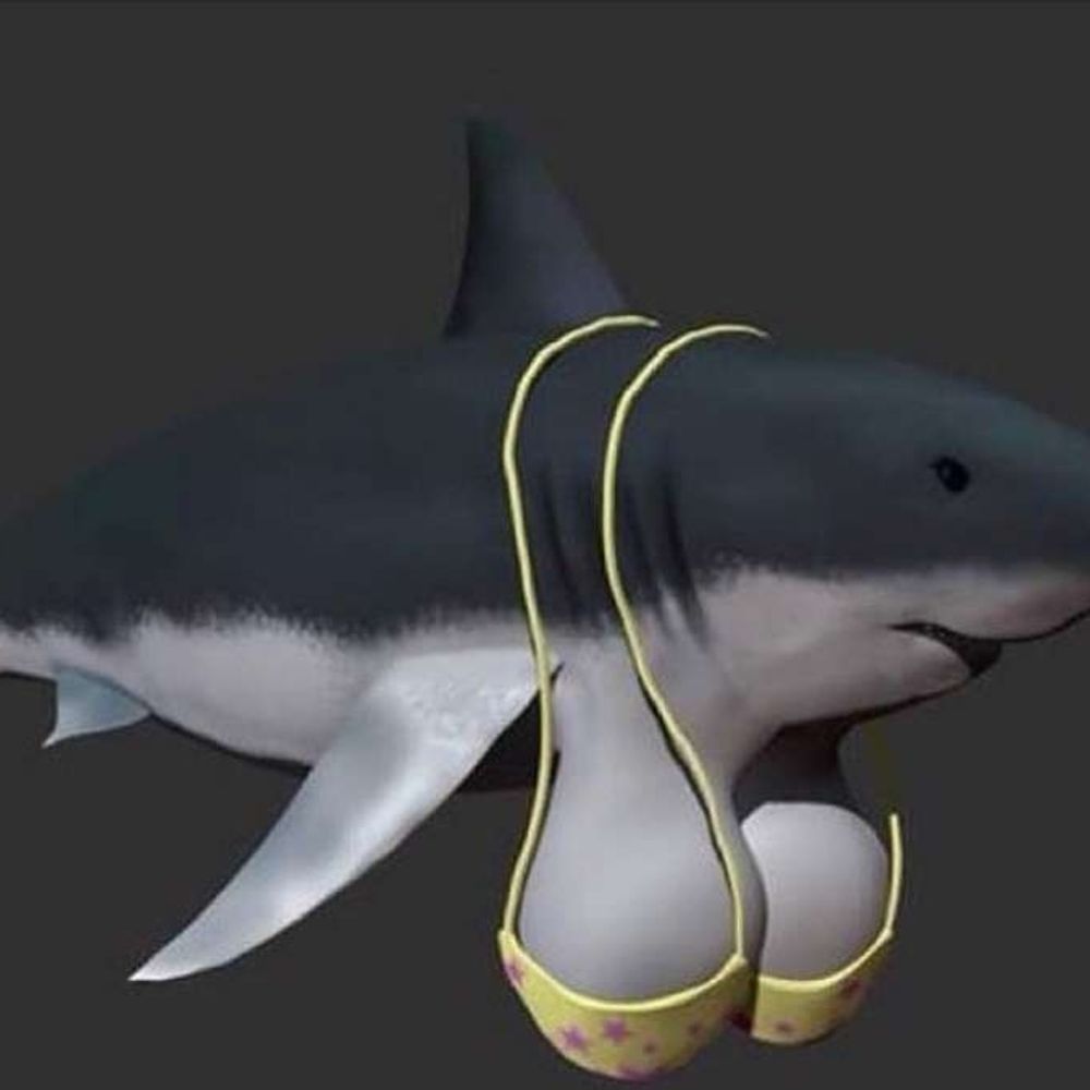 pp