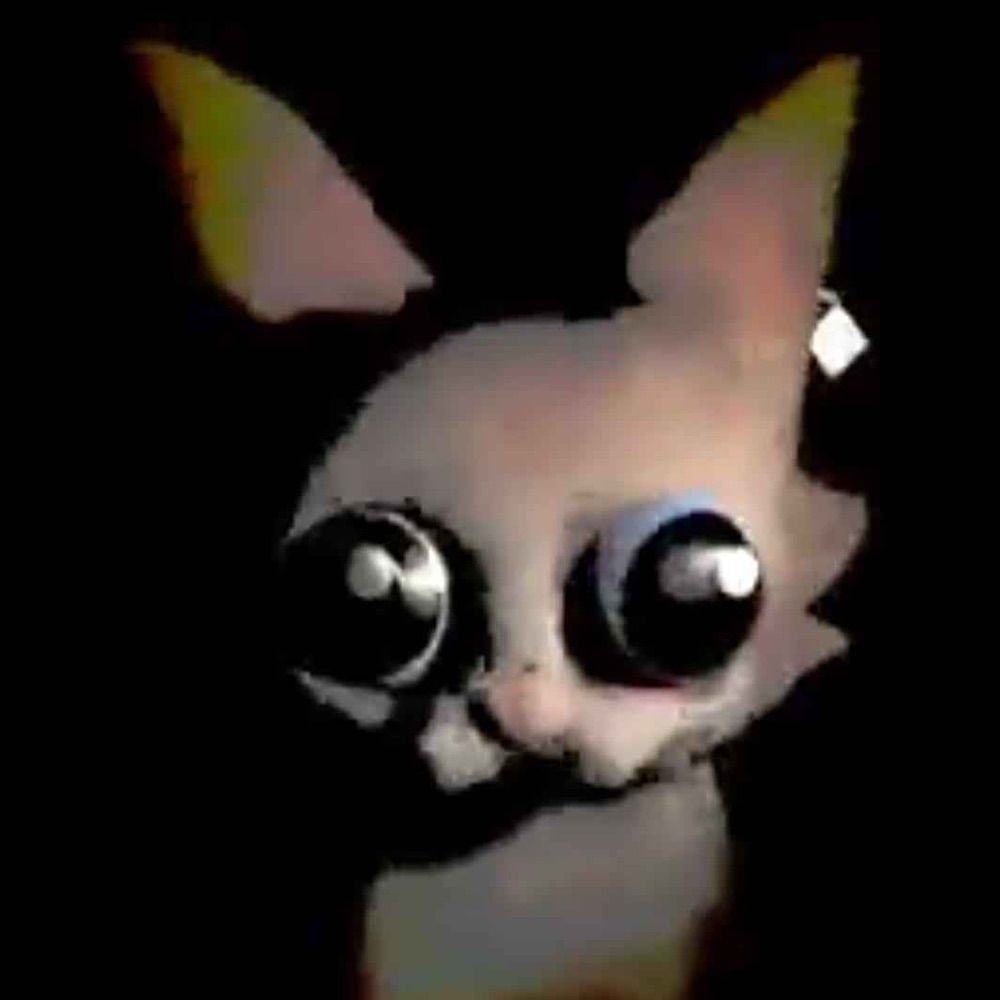 Wendi