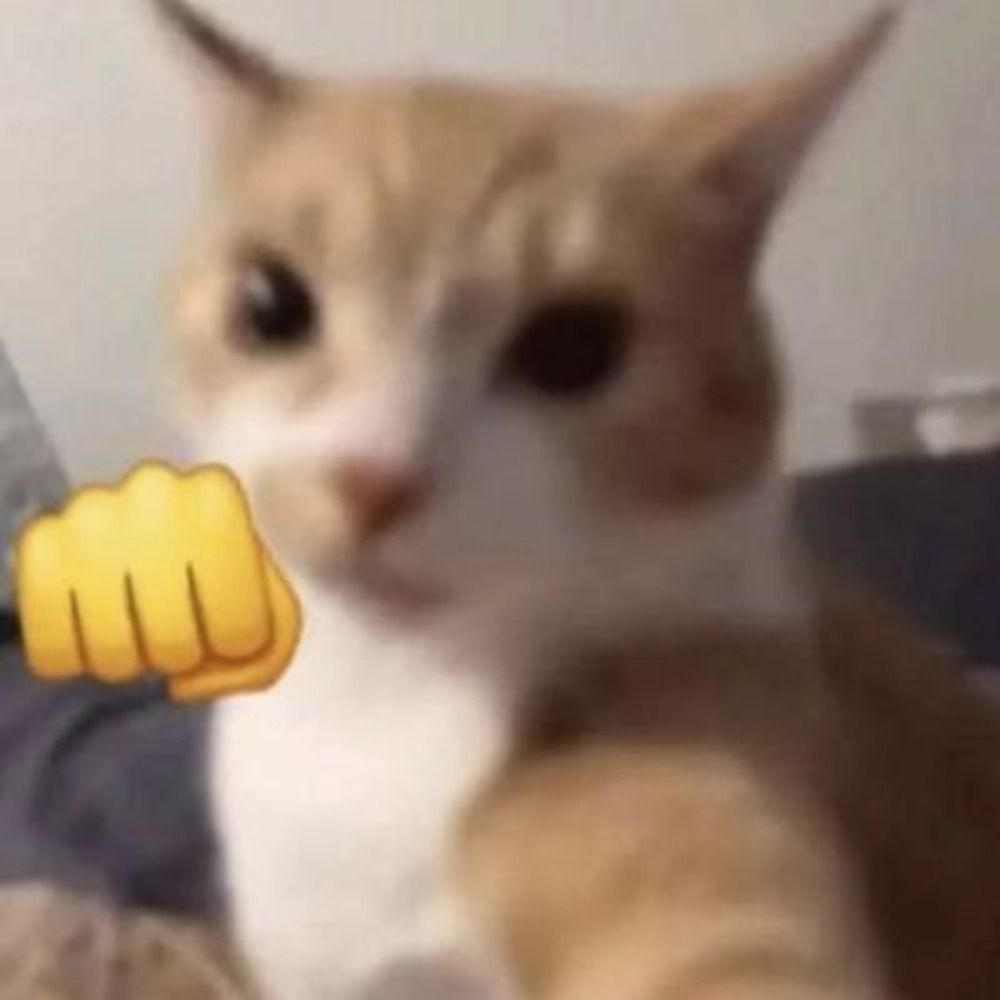 llipeb