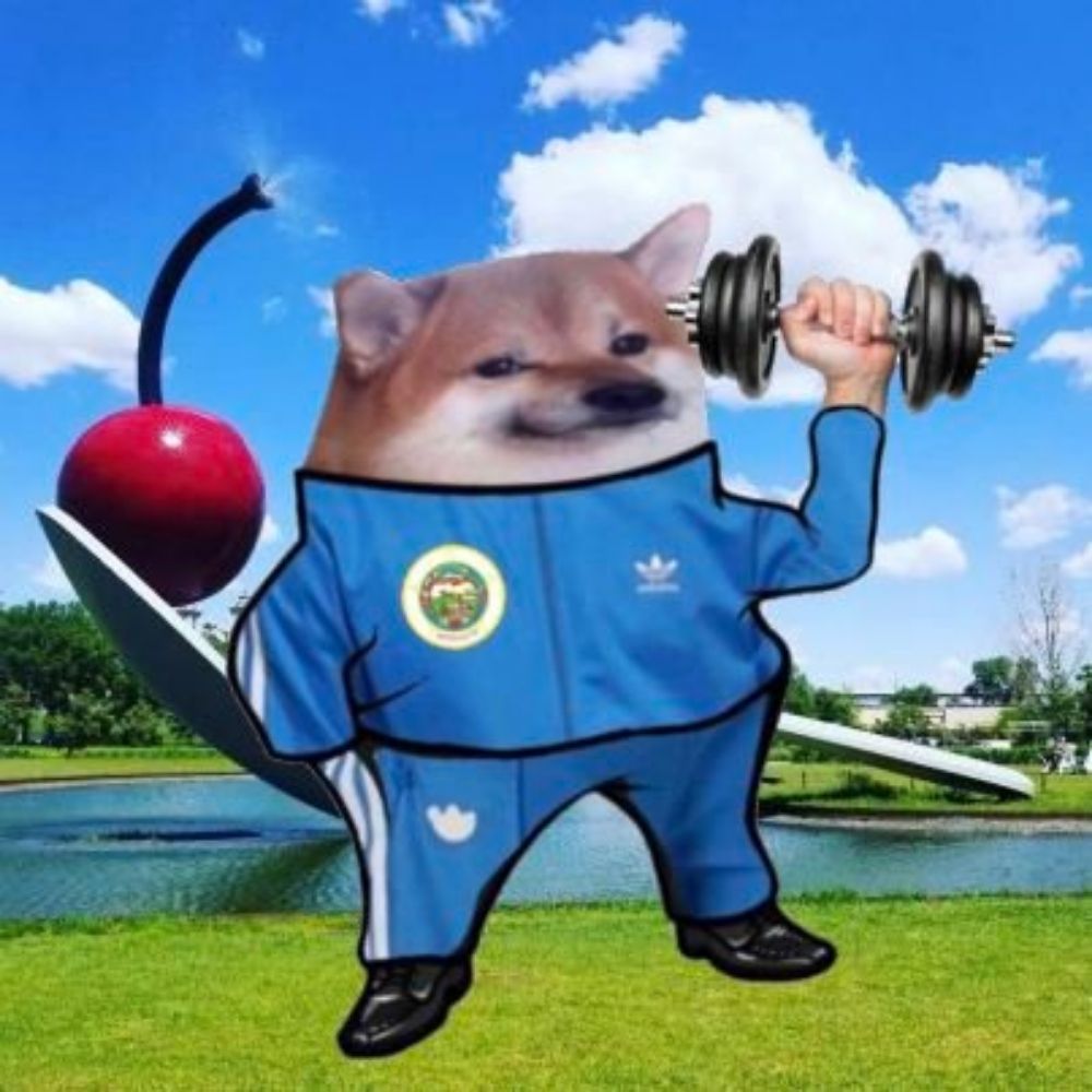 FellaFit