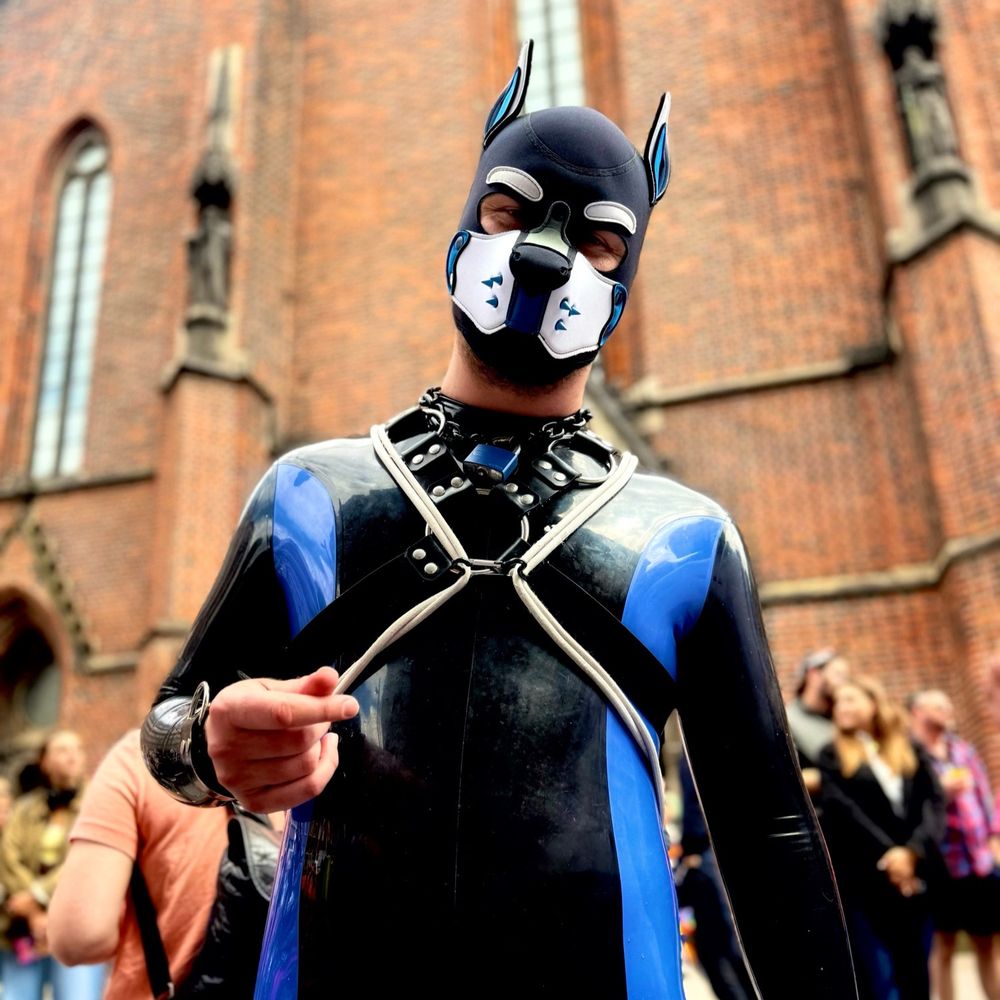 Pup Kenji's Avatar