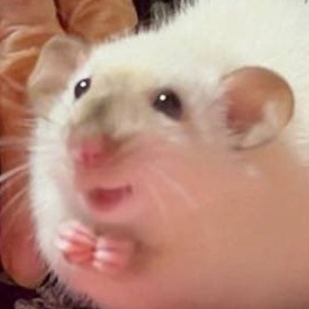 관짝