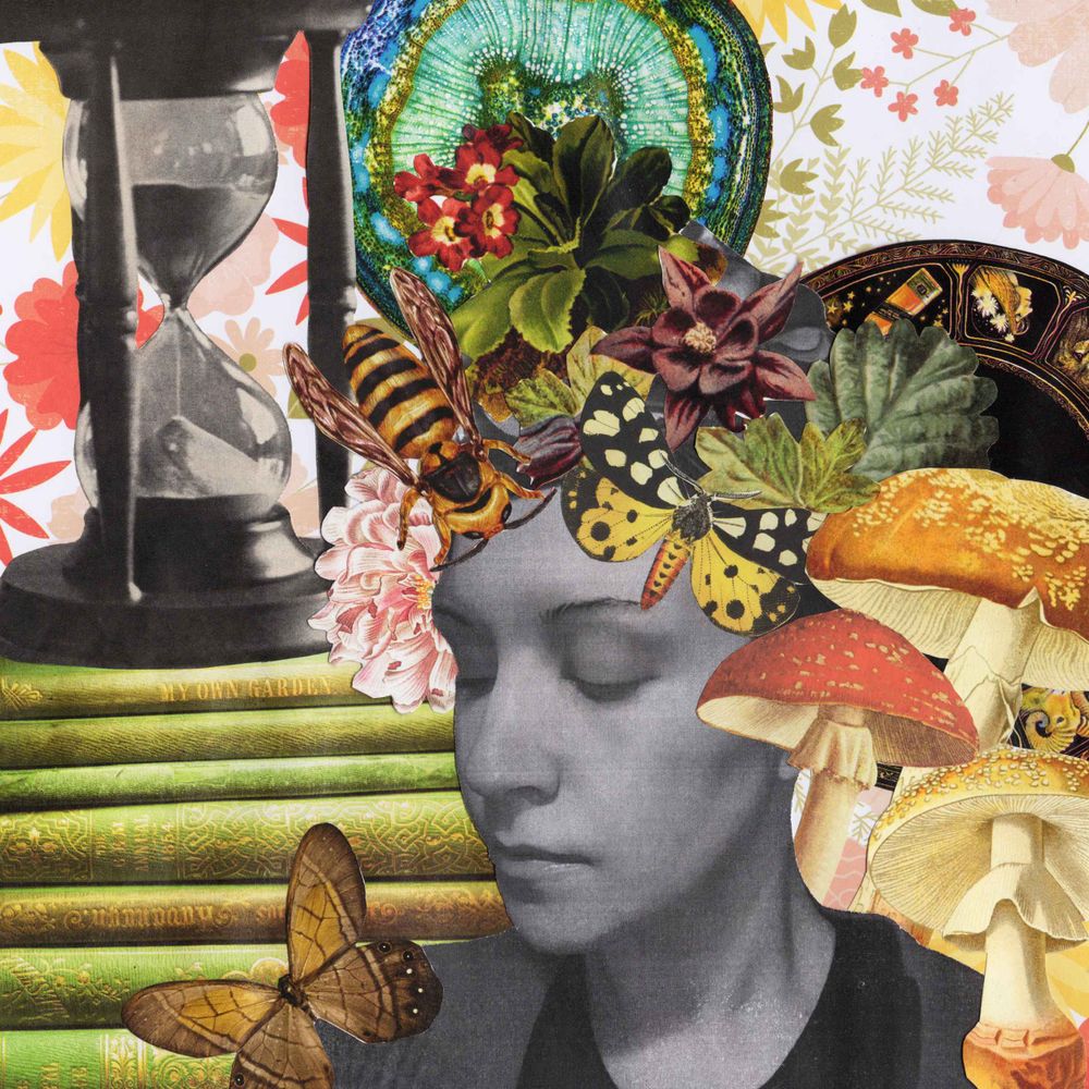 Fever Dream Collage
