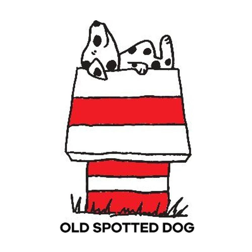 Profile picture oldspotteddog.bsky.social