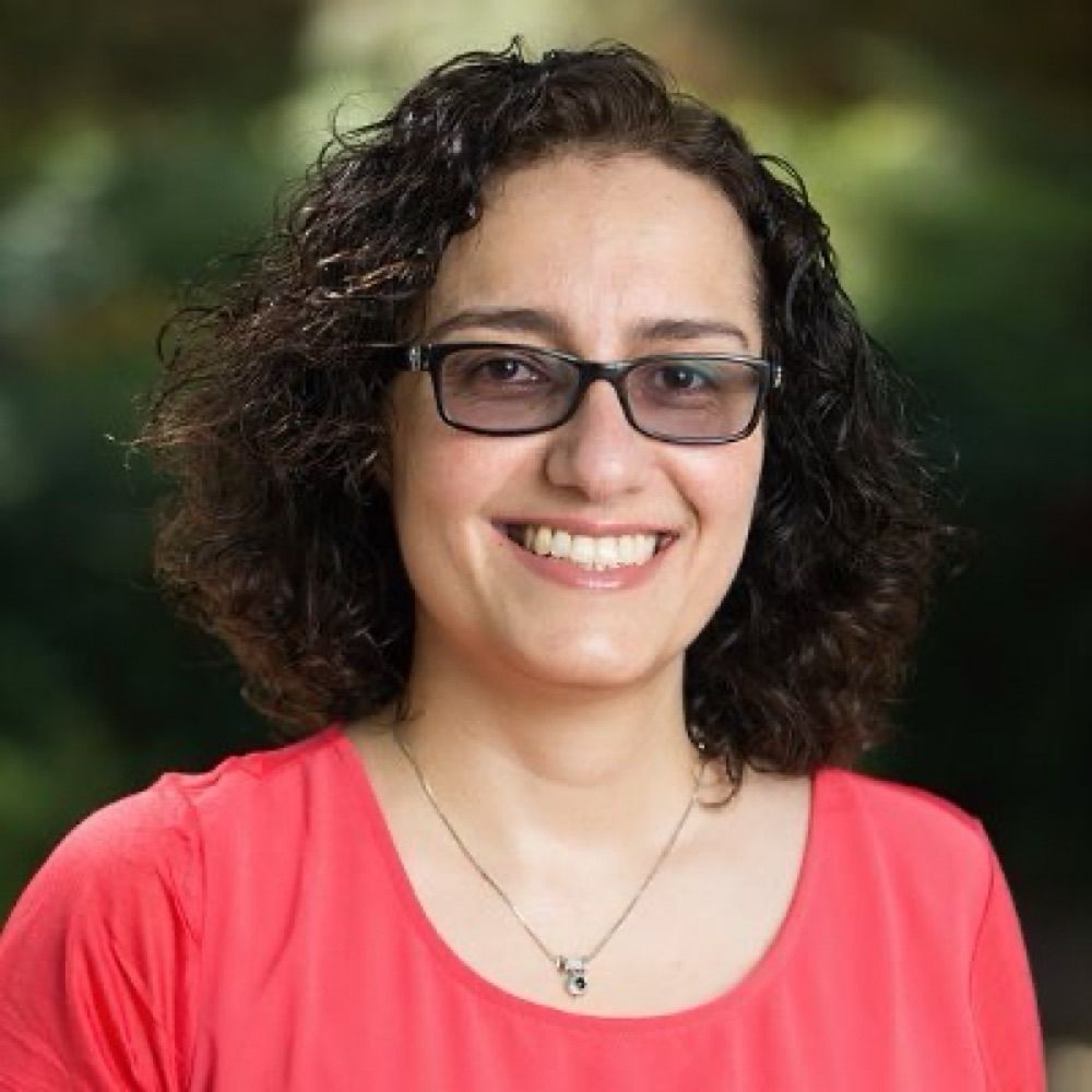 Hoori Ajami