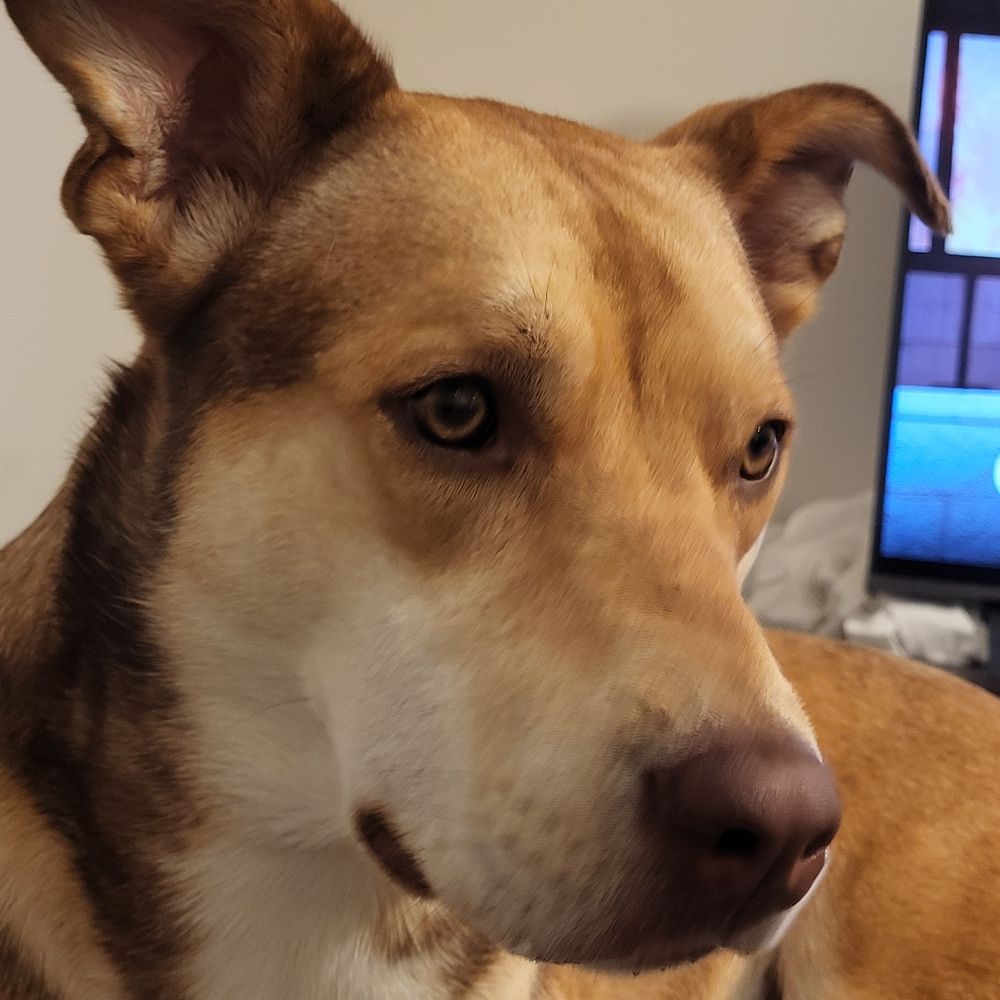 Max