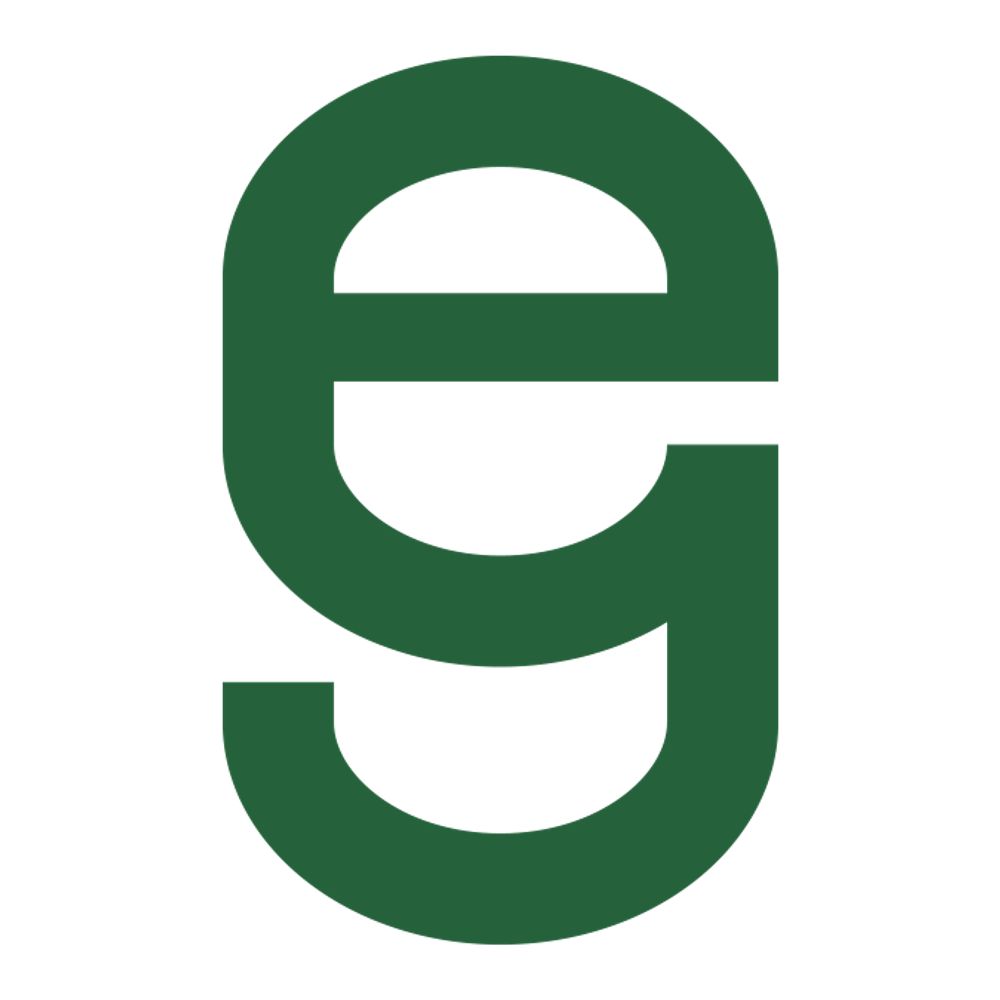 The Elections Group