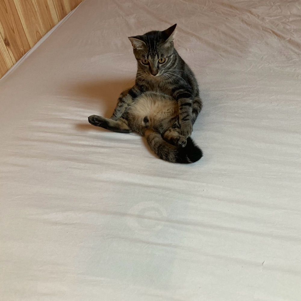だらだらしゃべります