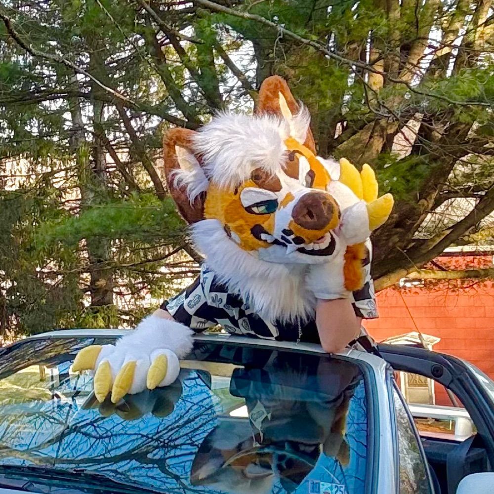 cattledog @ FWA