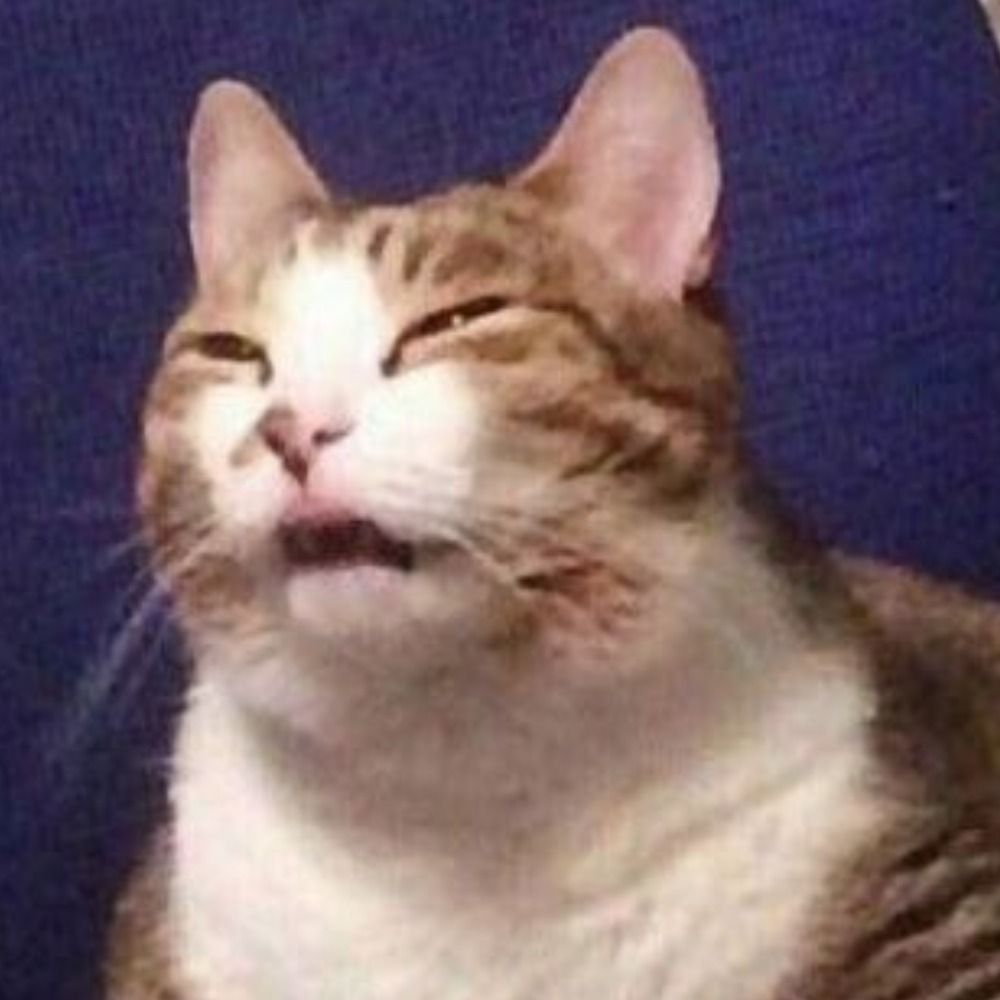 똠