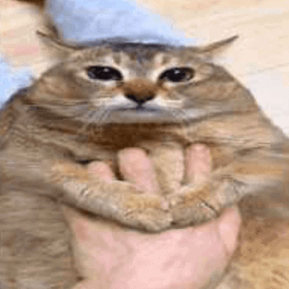 capybaragaming