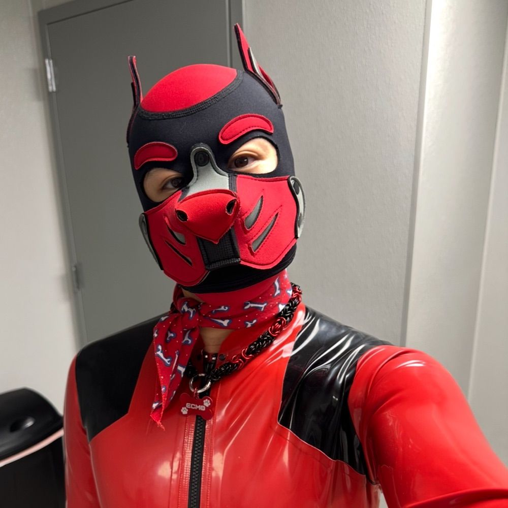 Pup_Ecmo