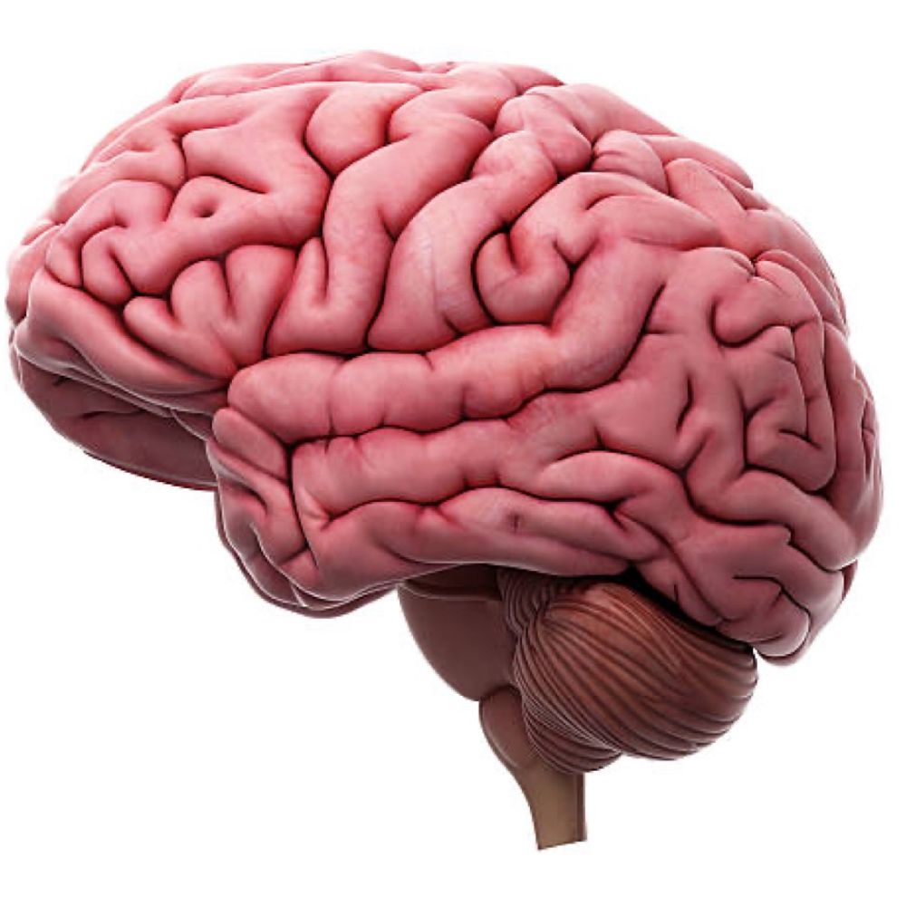 Organic Intelligence