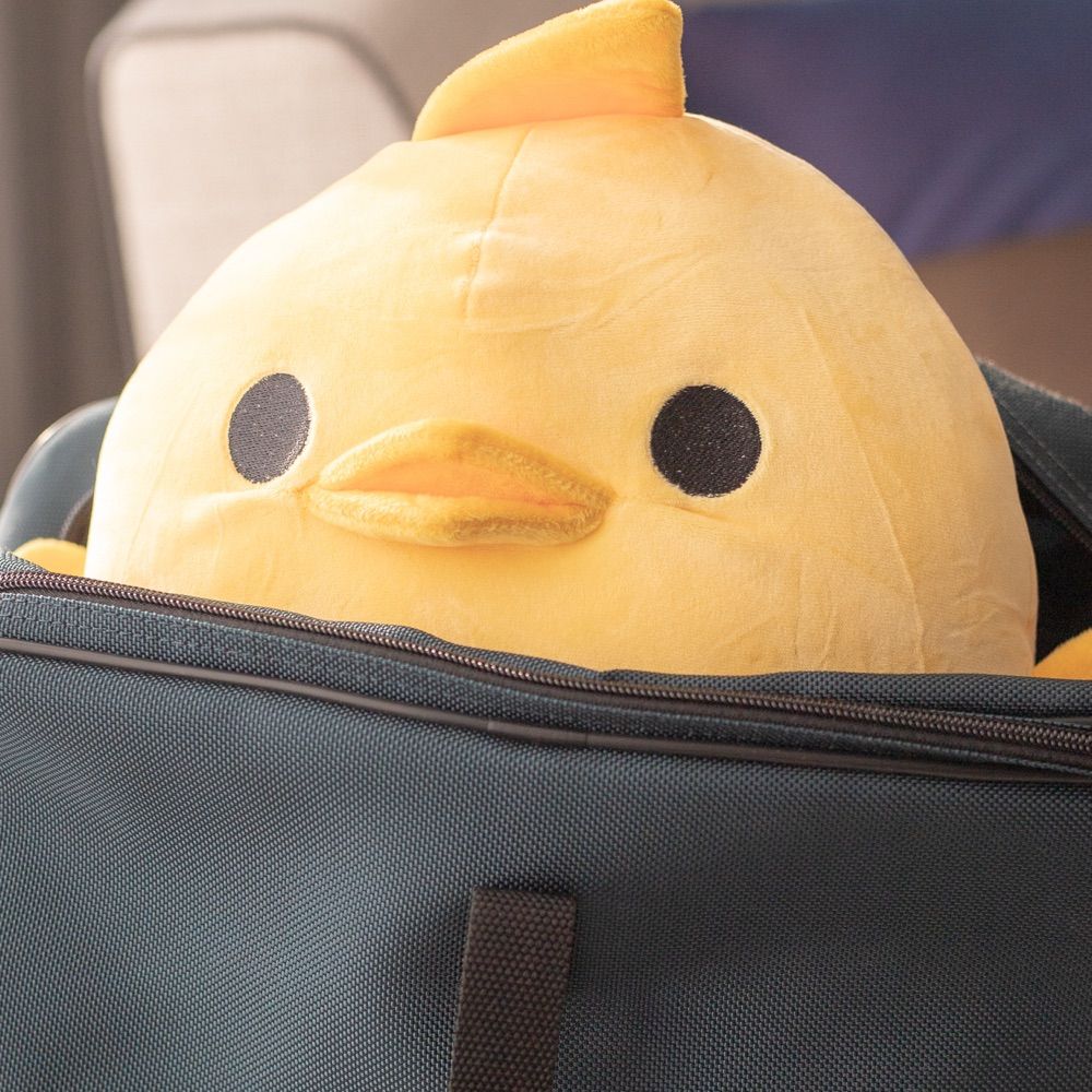 きいろい