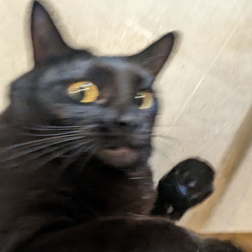Lazarus