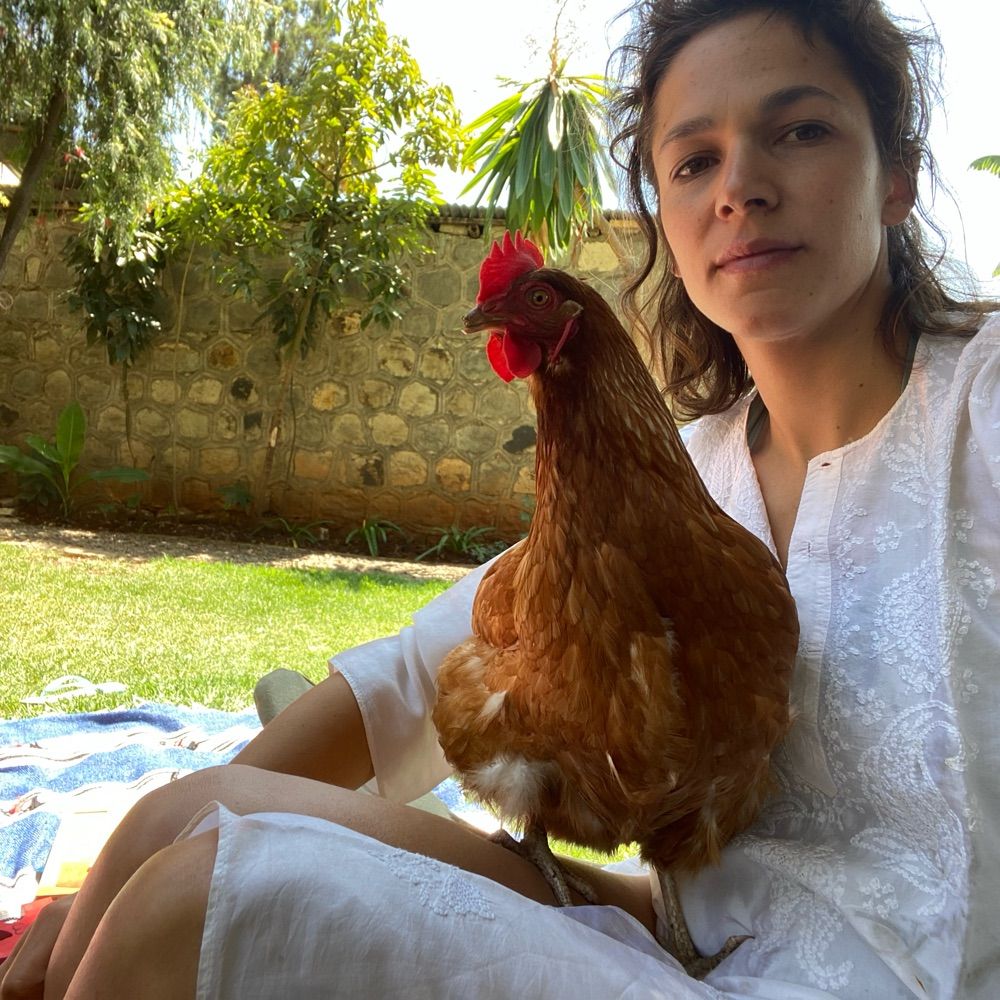 Giulia Paravicini