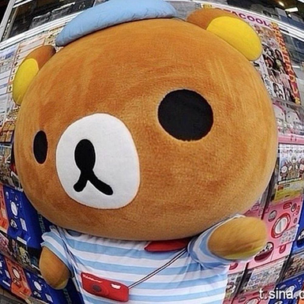 징어