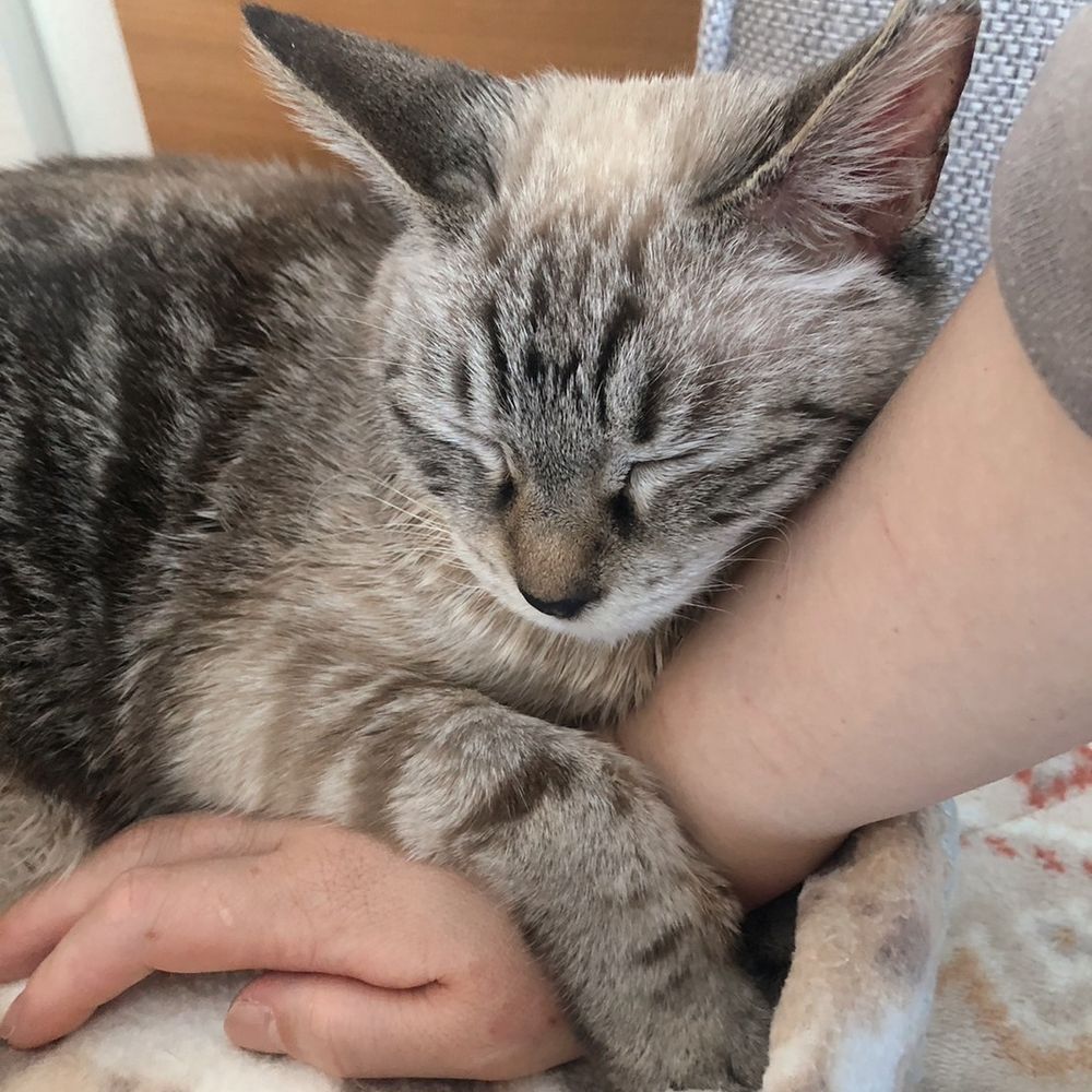 (*'ω'*)⌒)_