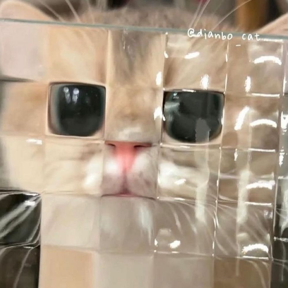밤밤