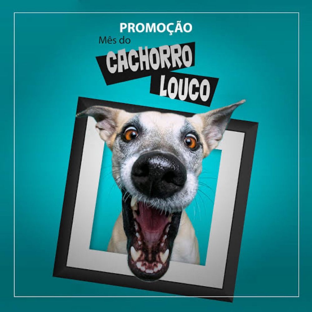 Cachorro das promoções