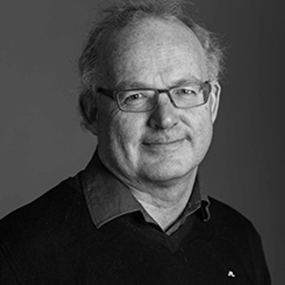 Stein Korsveien