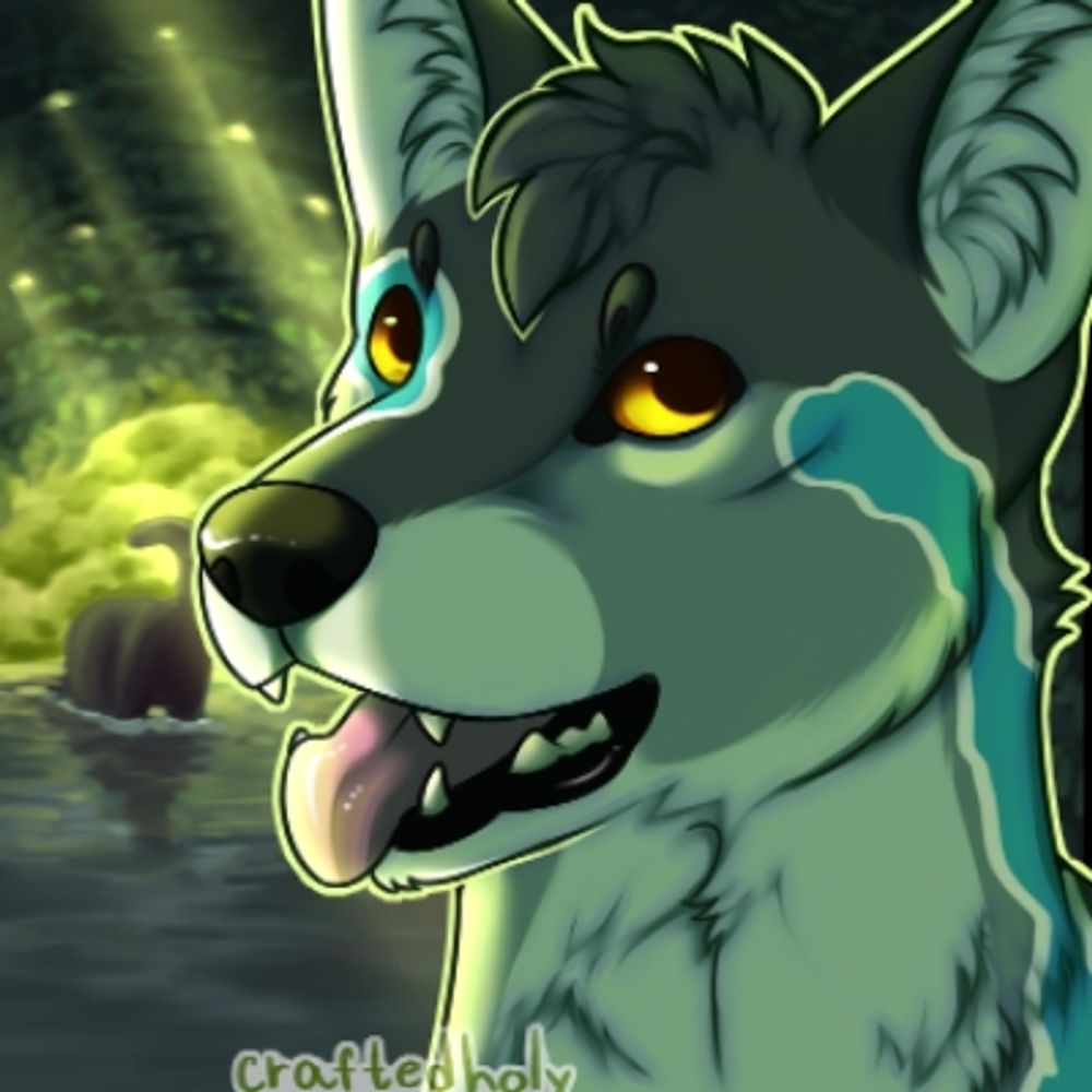 WinchesterFoxx 