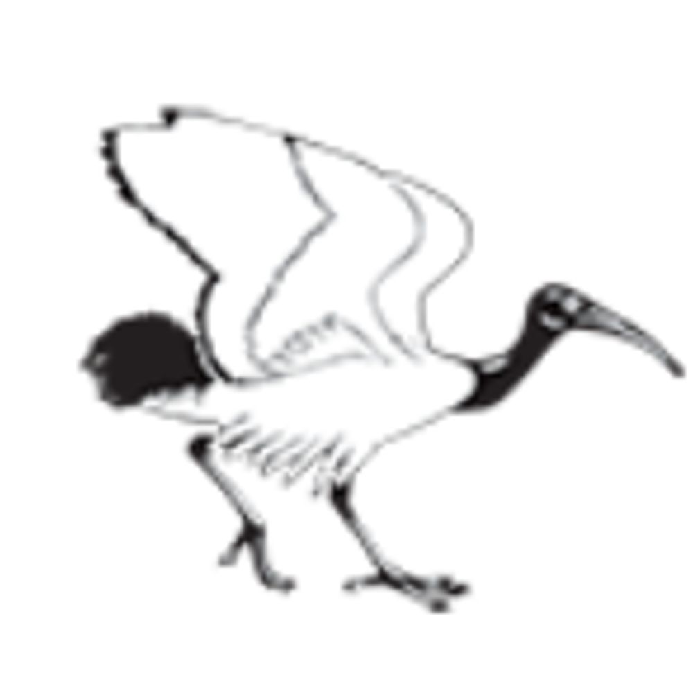 British Ornithologist's Club