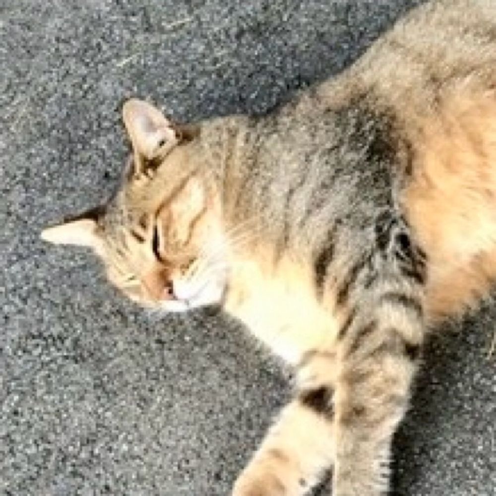 にゃつんぽ（群）