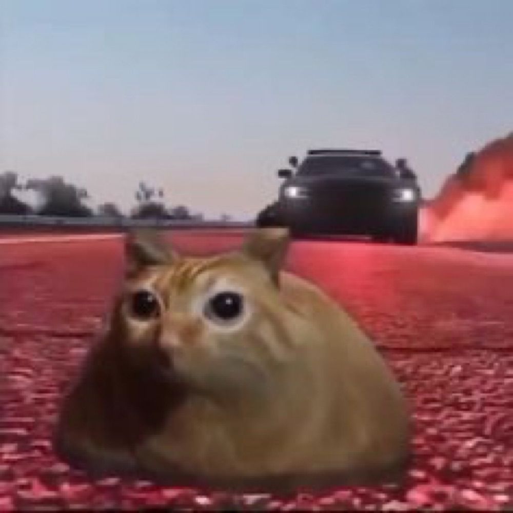 Niko