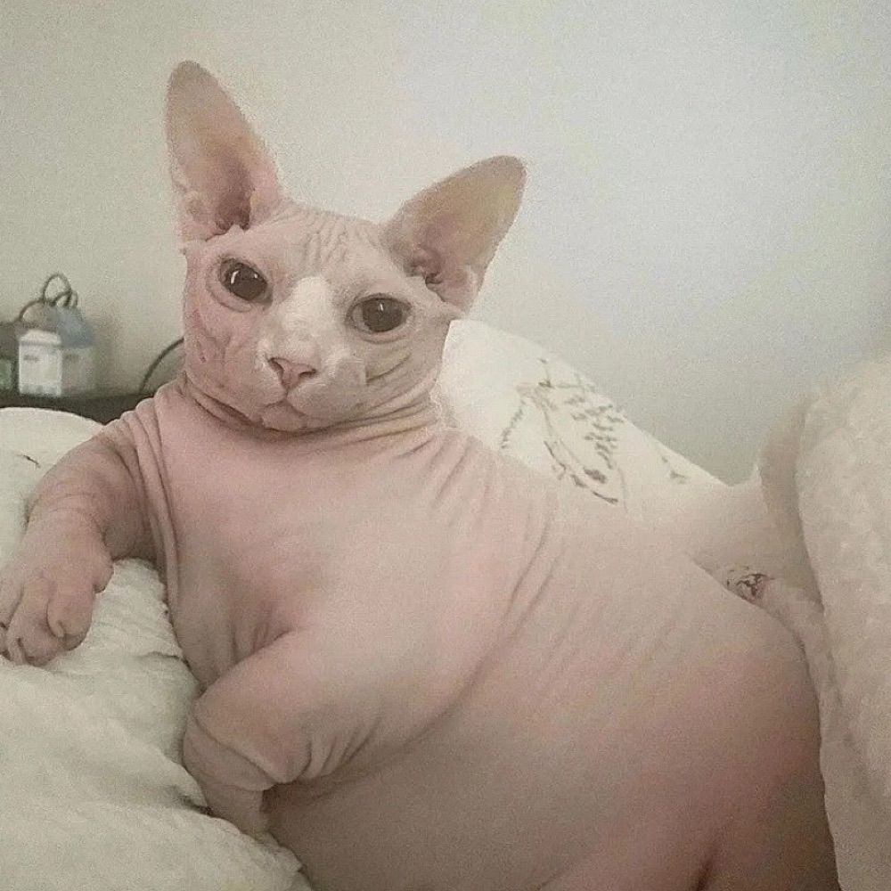 Gabe 