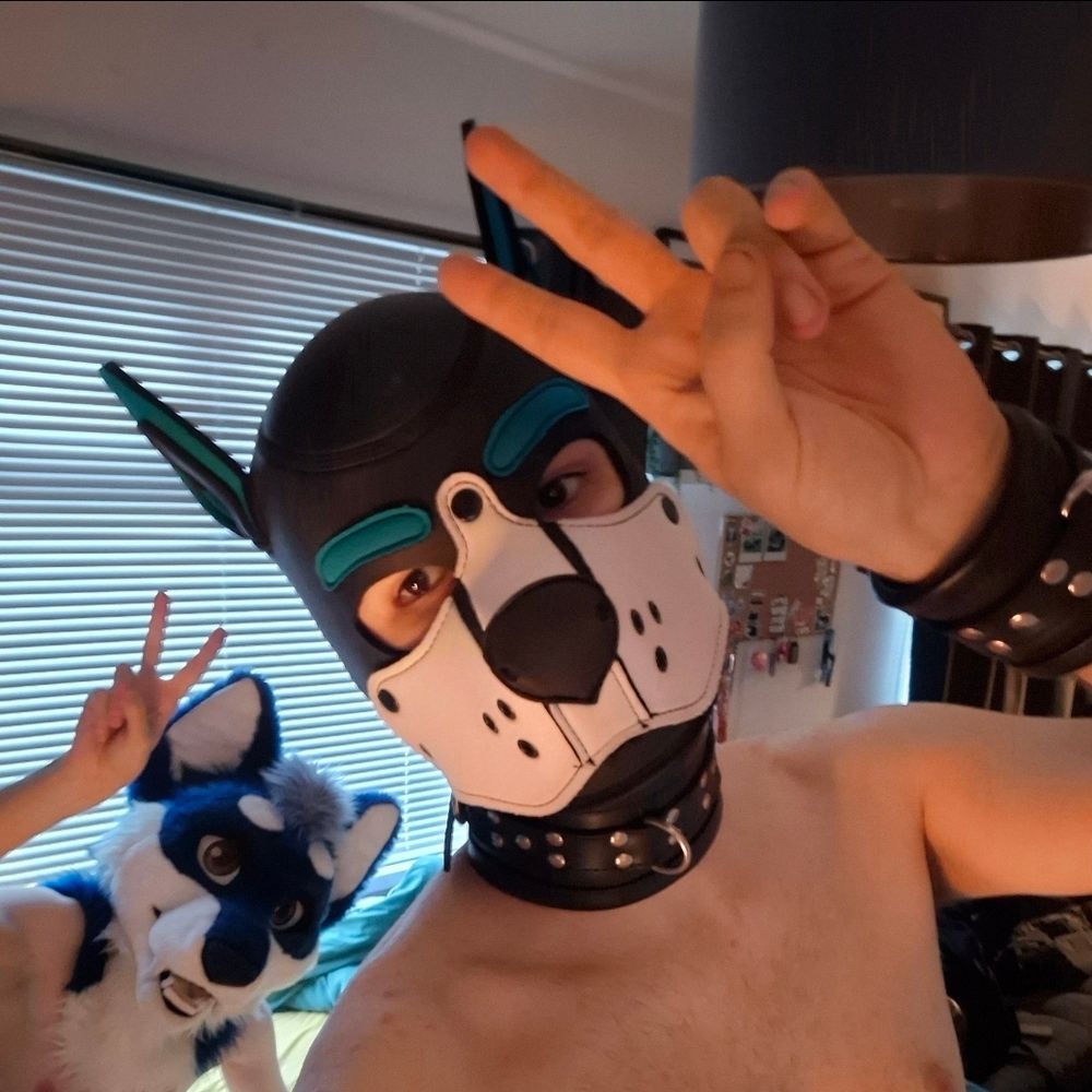Pup Shade