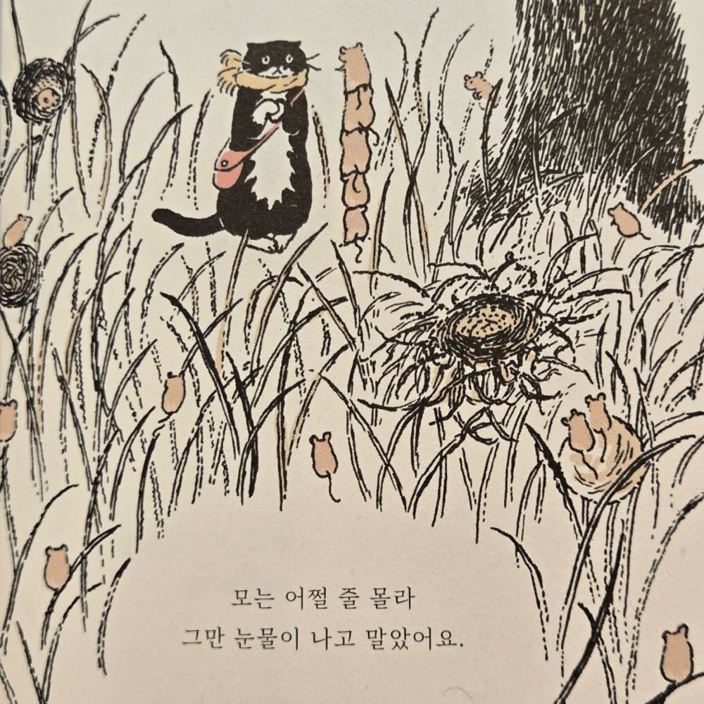 공허깡통