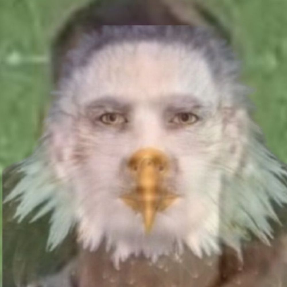 Gamito