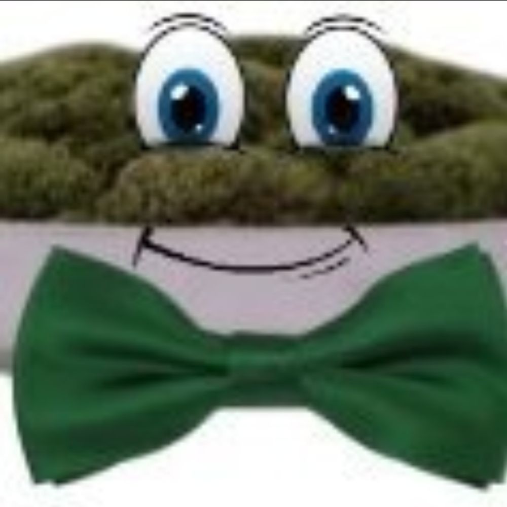 The Moss Boss of GH