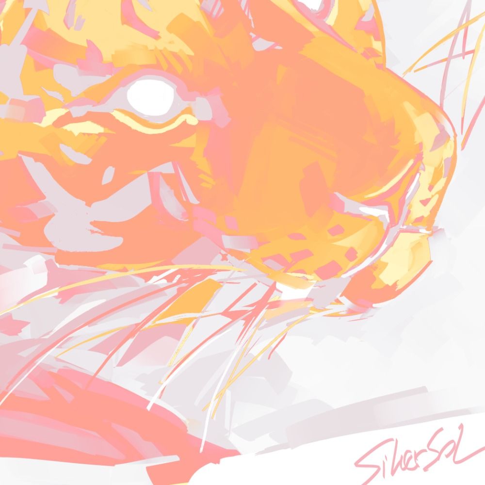SilverSol