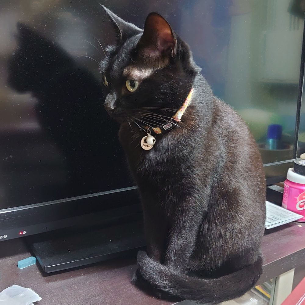 こうちゃん