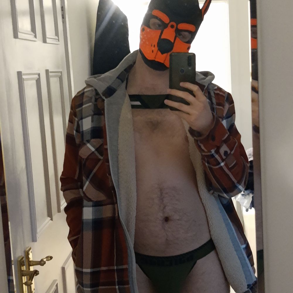 HoneyPuppyAD